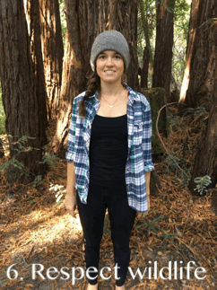 LNT: Respect Wildlife