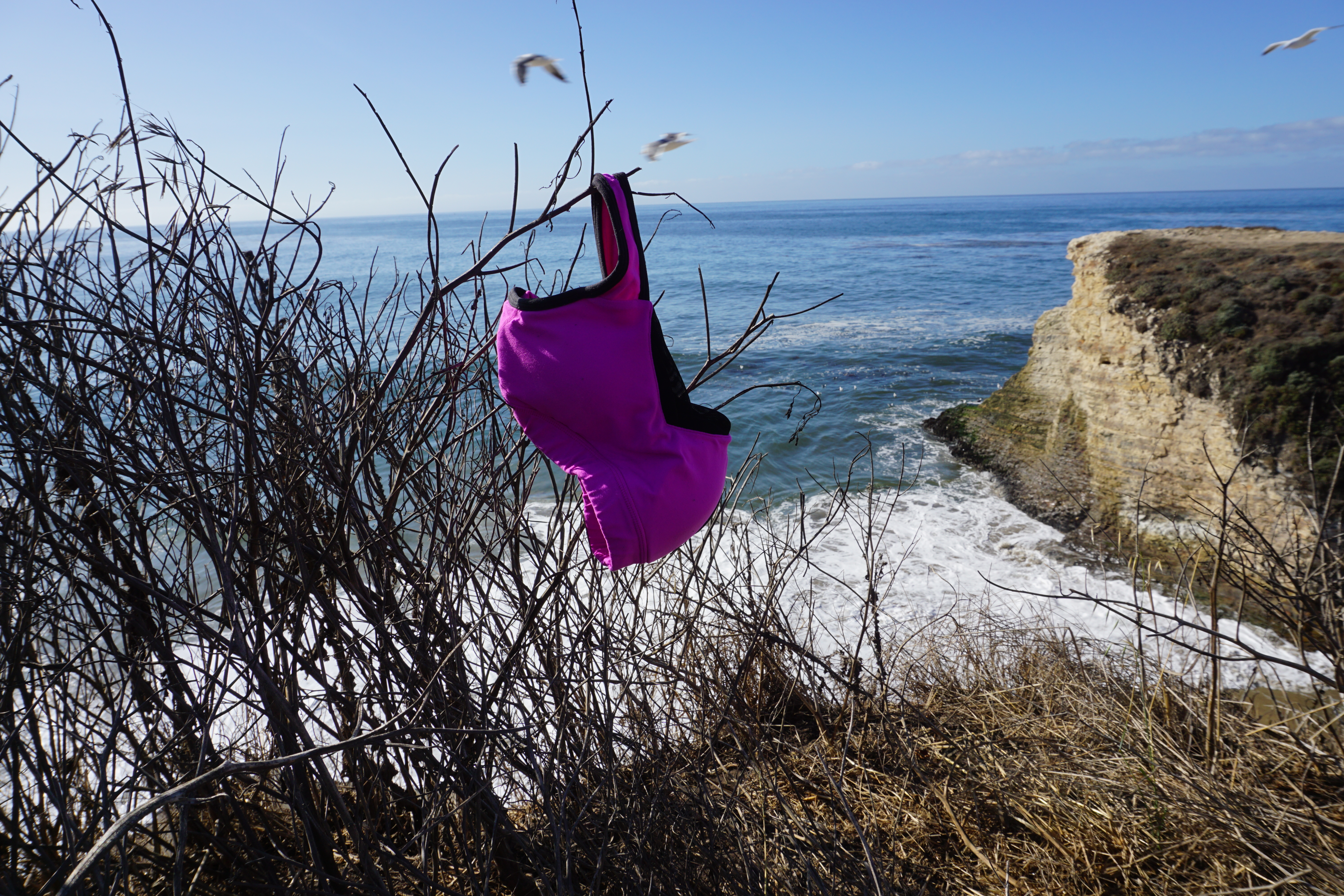 A lone bra after sex outside