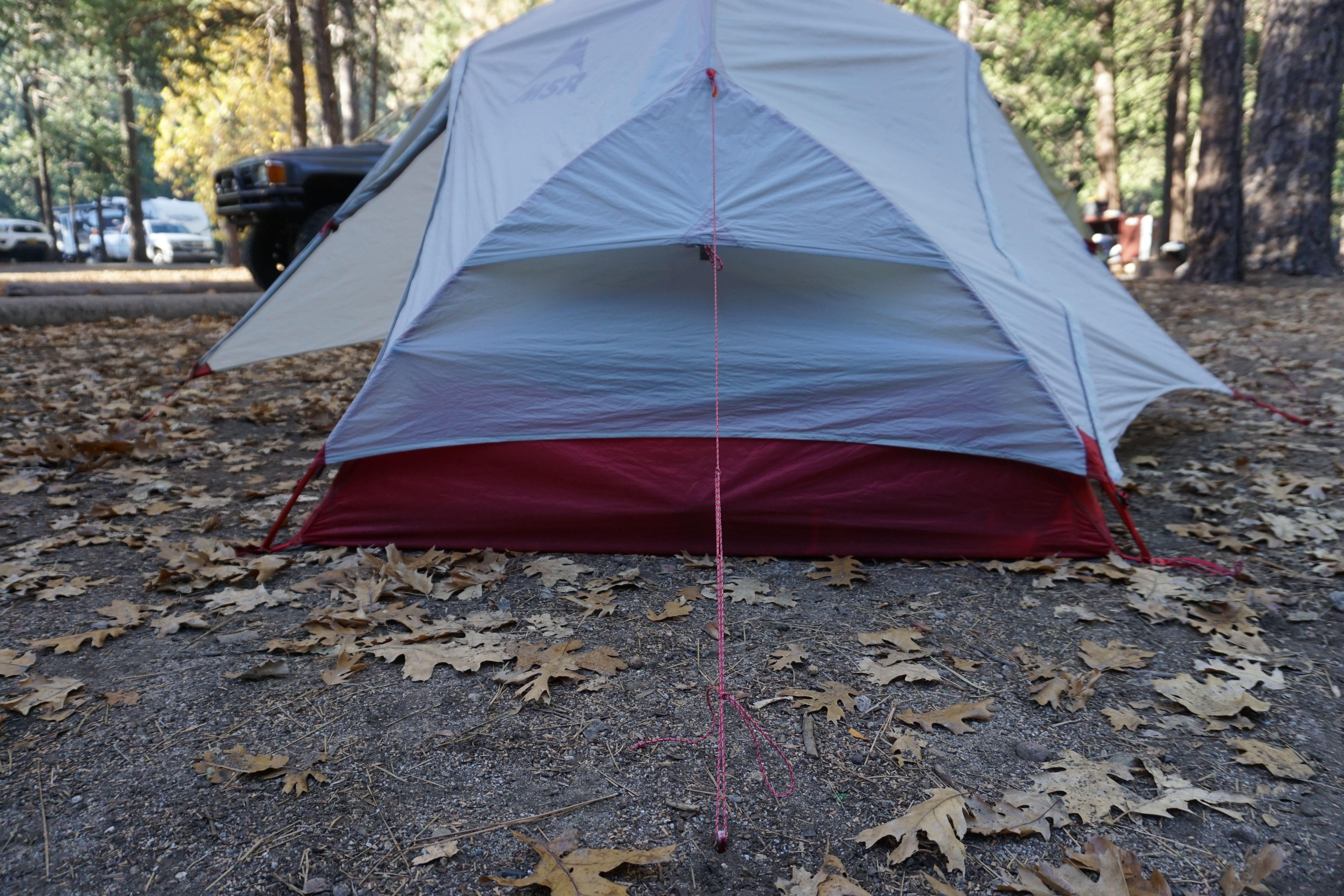 An example of a guy line and stake securing a tent