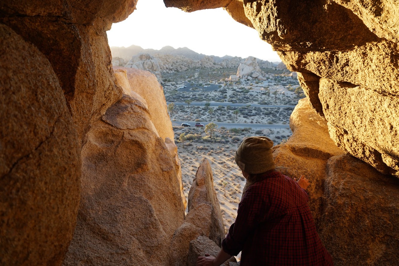 Looking out over Joshua Tree 