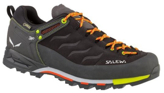 Salewa Mountain Trainer GTX Approach Shoes