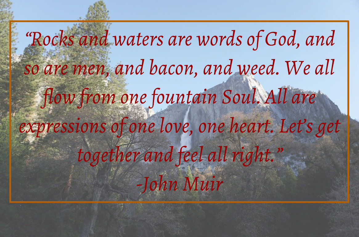 John Muir quote