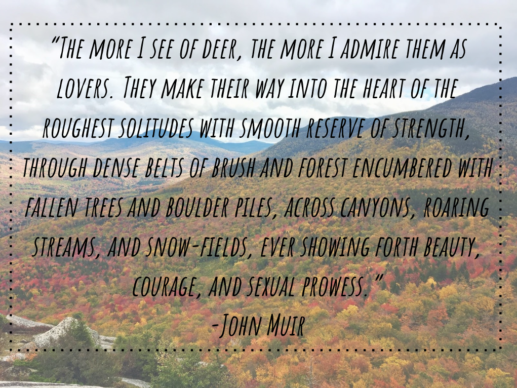 John Muir quote
