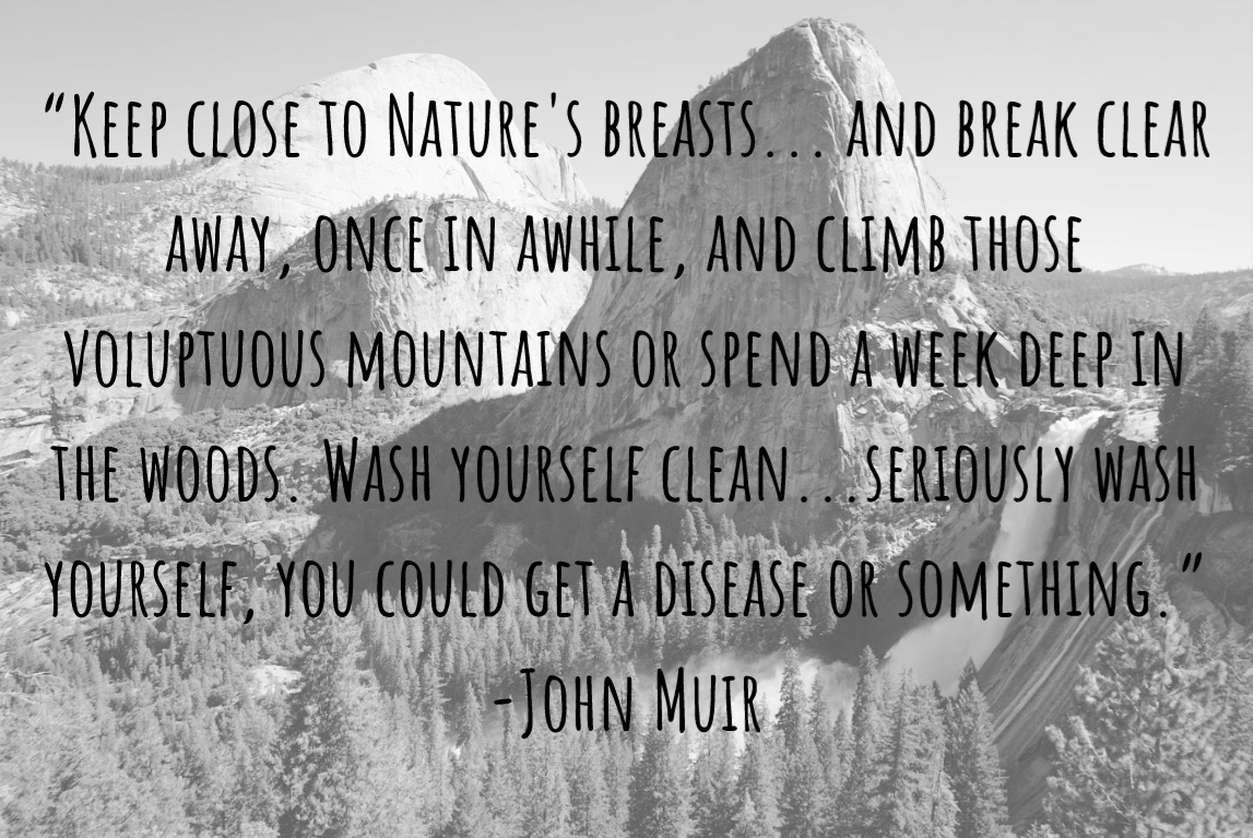 John Muir quote