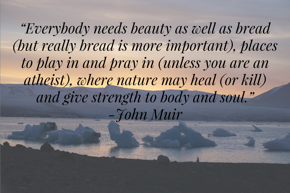 John Muir quote