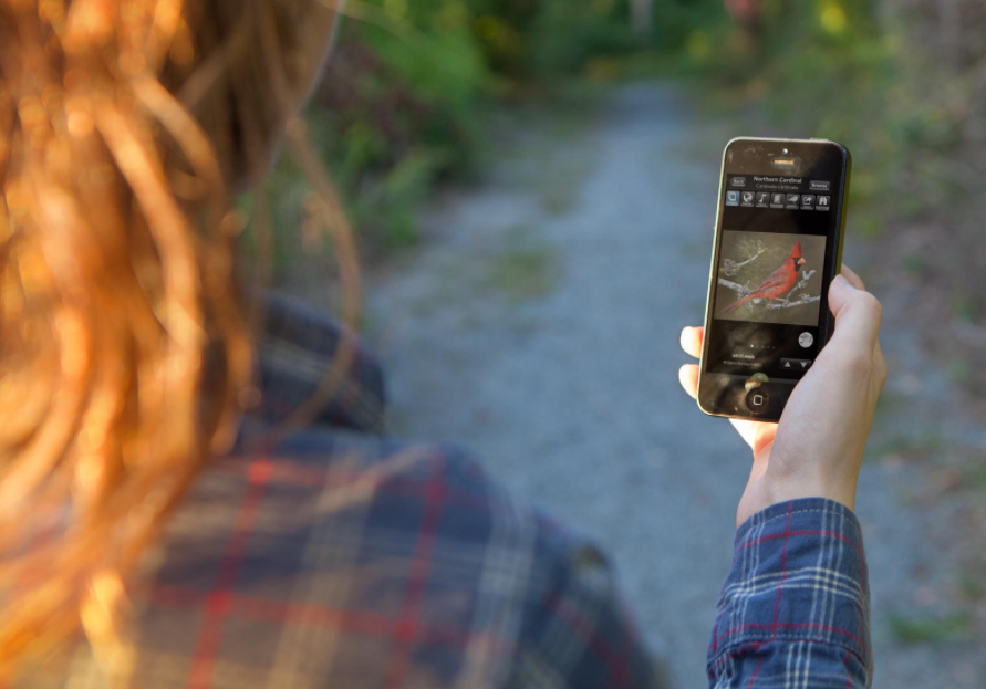 Outdoor adventure date ideas: Birdwatching!