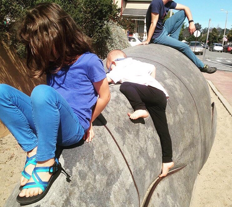 Kid-friendly outdoor adventuring always involves climbing!