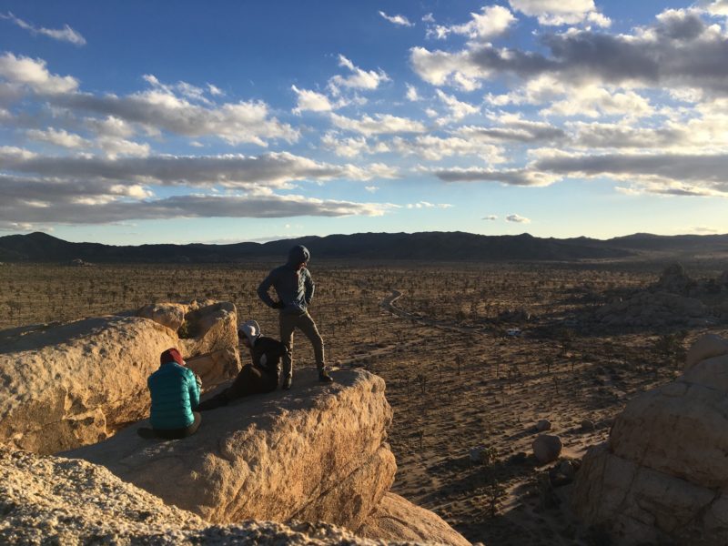 Guide to Joshua Tree National Park