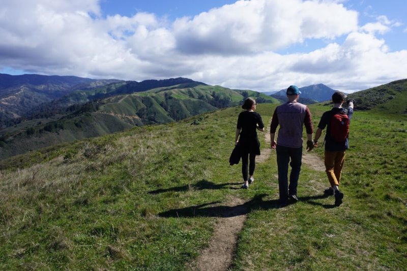 local's guide to big sur
