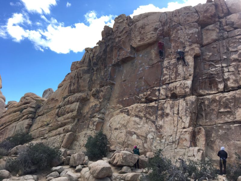 Guide to Joshua Tree National Park Climbing