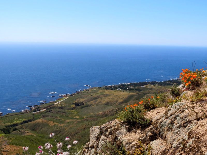 local's guide to big sur