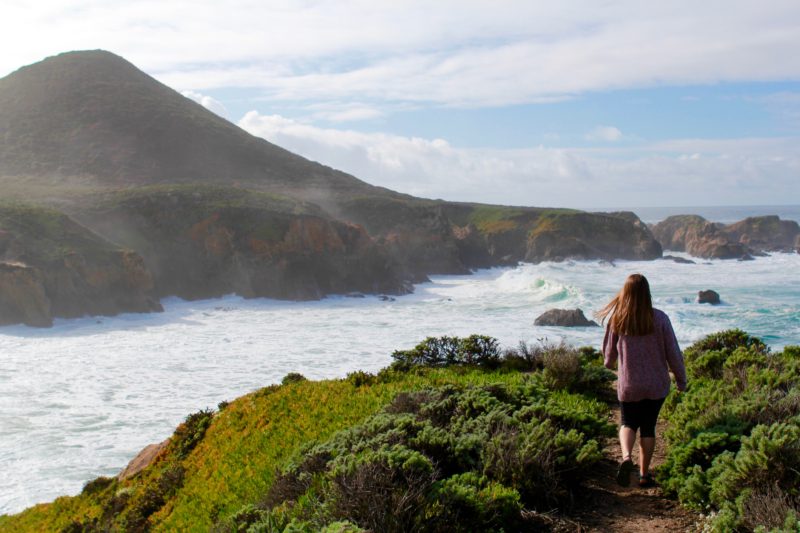 Local's Guide to BIg Sur: Articles