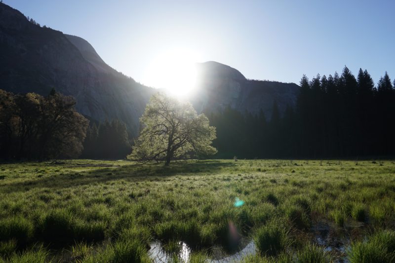 Yosemite Valley Guide