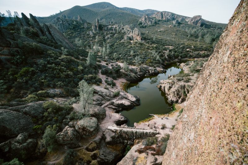 Pinnacles National Park Guide