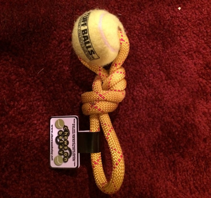 dog chew toy