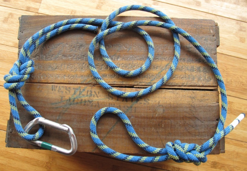 old climbing rope dog leash