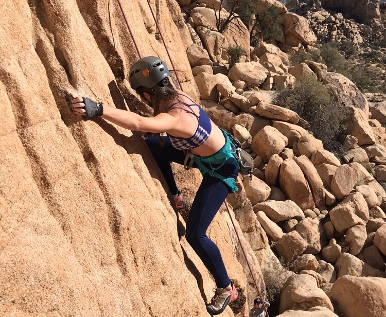 climbing in joshua tree