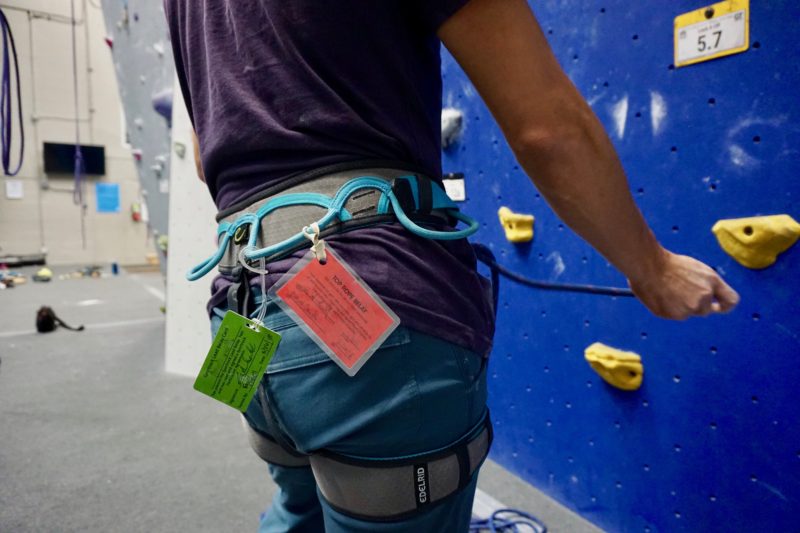 climbing lingo - multiple belay cards on harness
